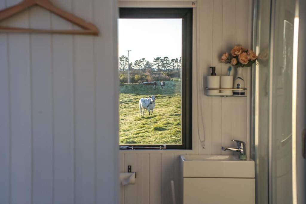 Taranaki Creekside Kea By Tiny Away Villa Stratford Exterior photo
