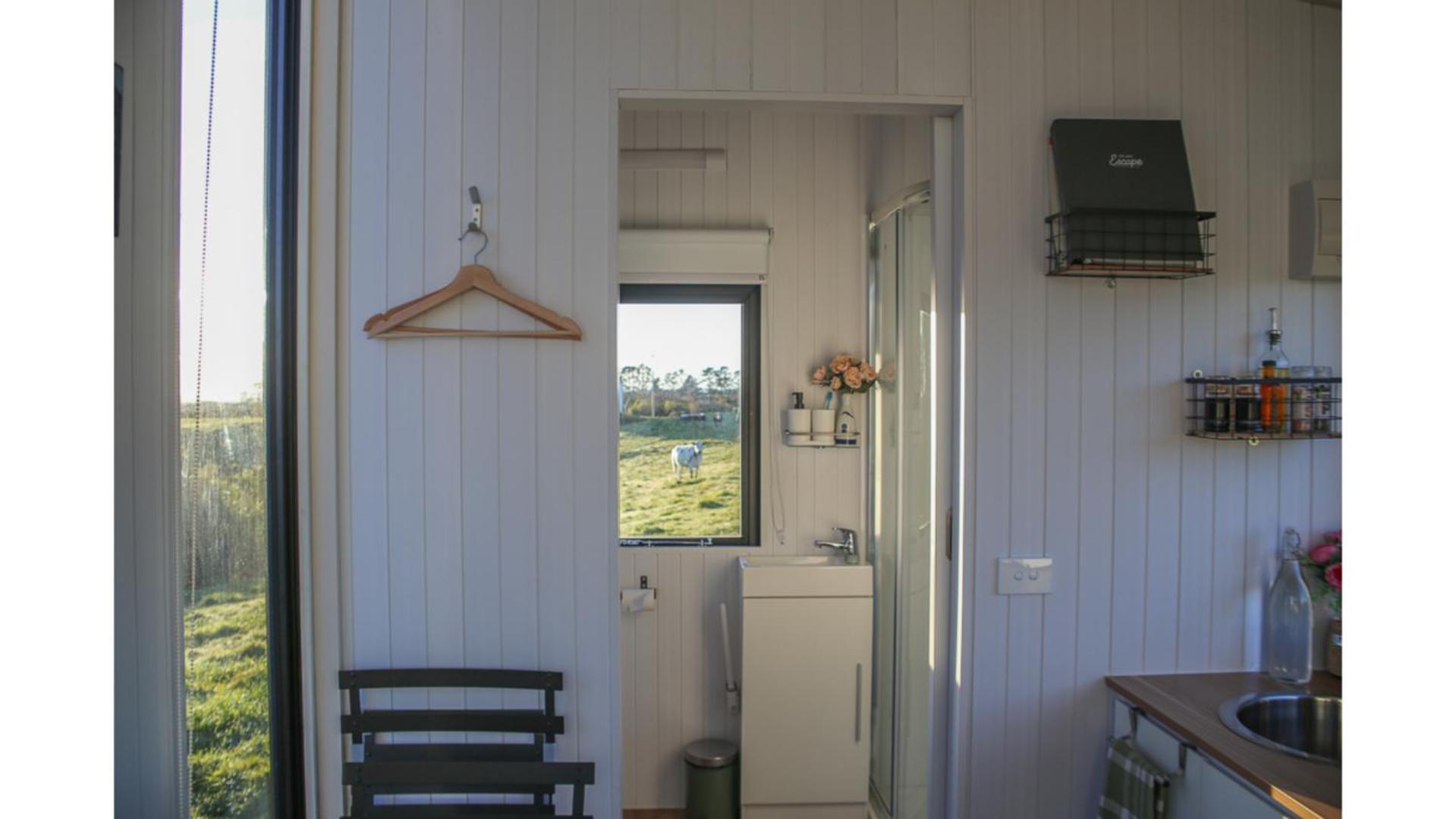 Taranaki Creekside Kea By Tiny Away Villa Stratford Exterior photo