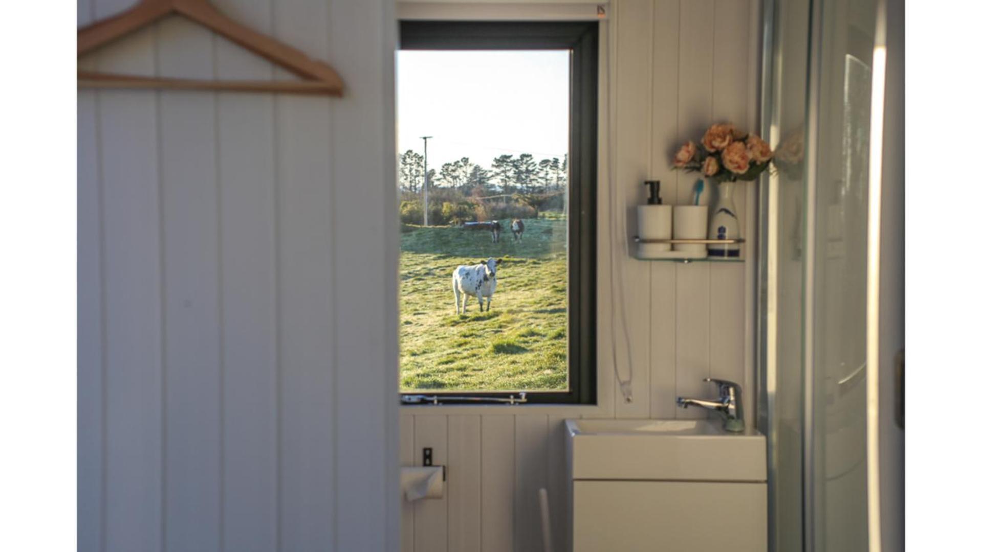 Taranaki Creekside Kea By Tiny Away Villa Stratford Exterior photo